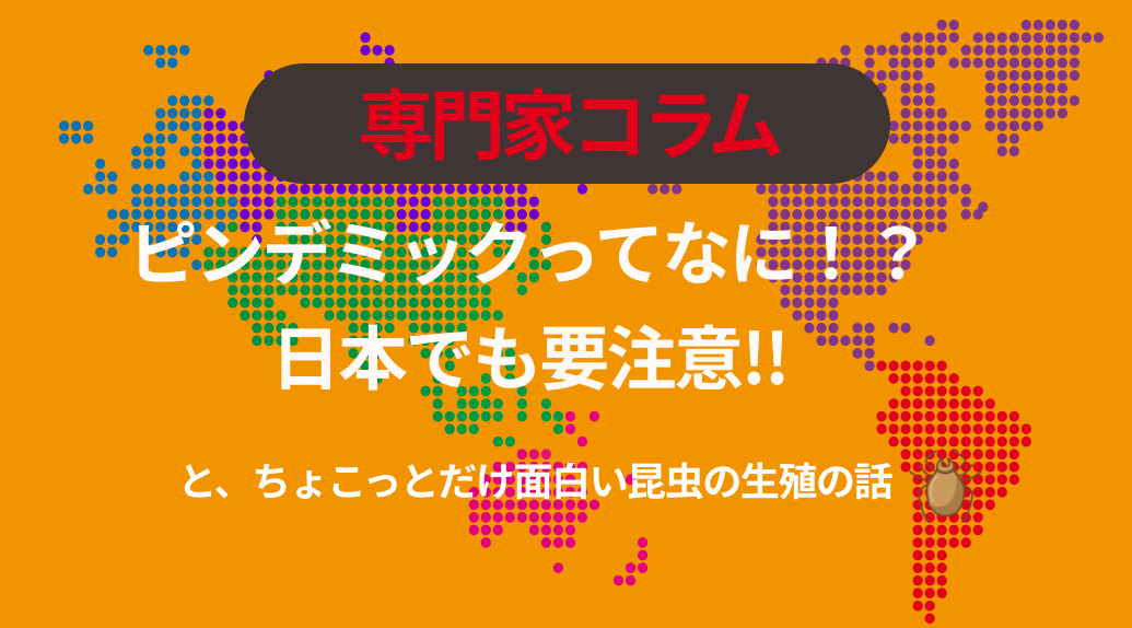 ピンデミックってなに？！日本でも要注意!!（‥‥と、ちょこっとだけ面白い昆虫の生殖の話）