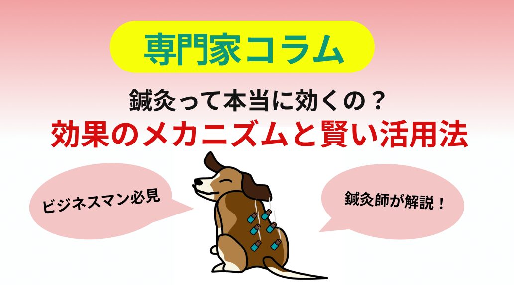 鍼灸って本当に効くの？効果のメカニズムと賢い活用法
