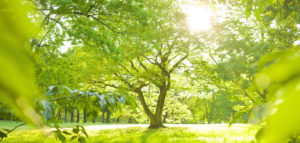 後悔のない人生は自分たちでしか作れないから。私が選んだ不妊治療と働き方