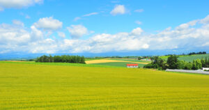 北海道の培養士が教える！道内の妊活ポイント　～はじめに～