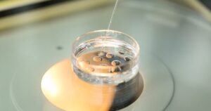 世界初の体外受精児誕生に貢献した一人の女性の物語【後章】