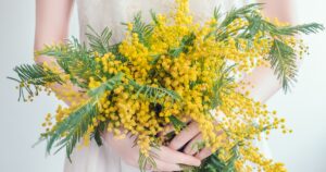 【特集】3月1日〜8日は「女性の健康週間」！