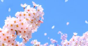 お子さんの保育園入園前に読んでほしい保育士のつぶやき