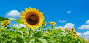 お盆の帰省で気が重いママへ。保育士からの「心の余裕」をつくる過ごし方